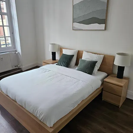 Grand De 140m2 En Plein Centre-ville 스트라스부르